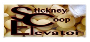stickney elevator
