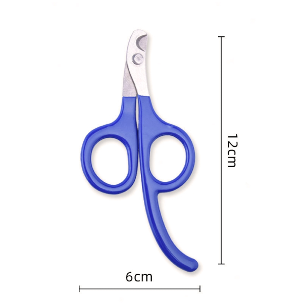 TOPCOM's Must-Have Pet Care Essentials: From Cat Dental Water to the Best Dog Nail Trimmers