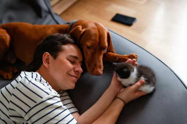 Grooming and Wellness Must-Haves The Best Tools for Cleaner Happier Pets