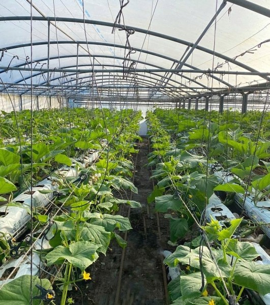 New NPK Liquid Fertilizer from Complete Grow Boosts Growth in Hydroponics and Indoor Plants