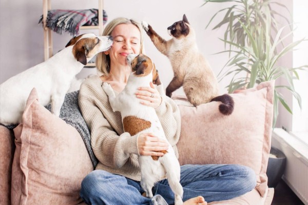 Fresh Pets Happy Homes Simple Nail Hair and Breath Care Tips