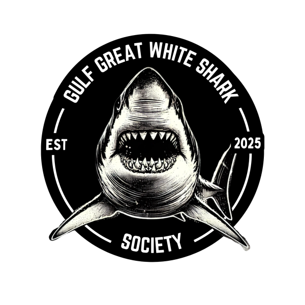 Gulf Great White Shark Society Founded