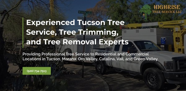Highrise Tree Services Tucsons Trusted Tree Care Professionals