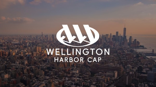 Wellington Harbor Cap Unveils Beginner-Friendly Mode for Financial Newcomers