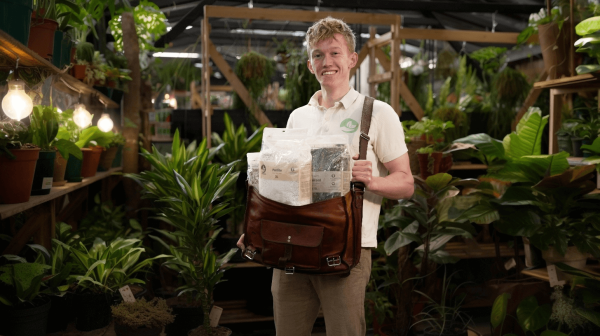 Indoor Gardening Plant Care