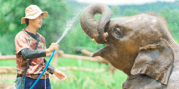 A person spraying water with a elephant

AI-generated content may be incorrect.