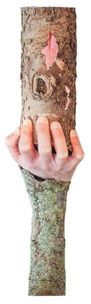 Reiss_Lael_Trunk_2024