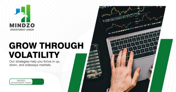 Mindzo Investment Union Under Percival Birchwood Introduces Global Liquidity Mapping System for Structural Market Insight