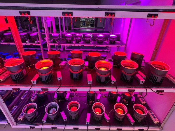 KML Delivers Customized RGBW Downlight Solution for UK Cinema Client