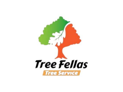 Professional Arborist Services Expand Across Concord, Merrimack County