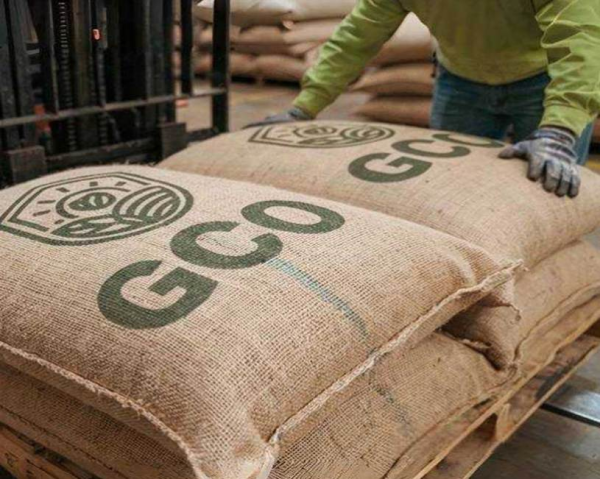 GCO Green Leaf Coffee improves the global sustainable supply system and helps stabilize the international coffee market supply