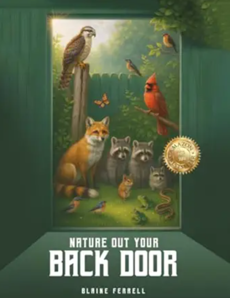 Exploring Nature’s Wonders: A Journey into the Backyard Ecosystem