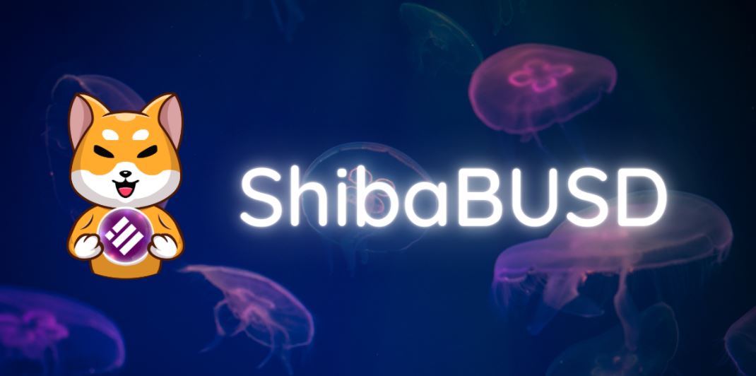 ShibaBUSD A Token that gives 18 BUSD Reward is now on Presale