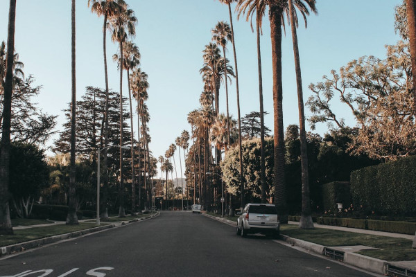 Free White Vehicle Parked on Road Between Trees Stock Photo