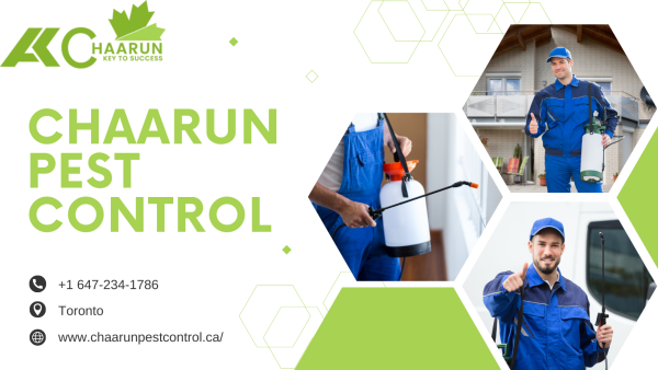 Chaarun Pest Control Emerges as the Pinnacle of Excellence in Pest Management In Toronto