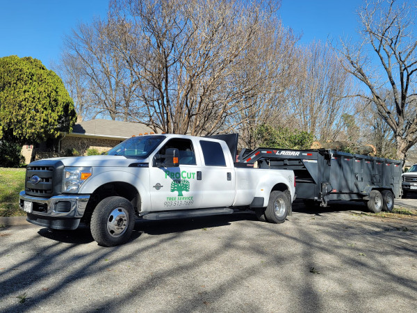 Pro Cut Tree Services Introduces Preventative Measures and Emergency Tree Removal Services