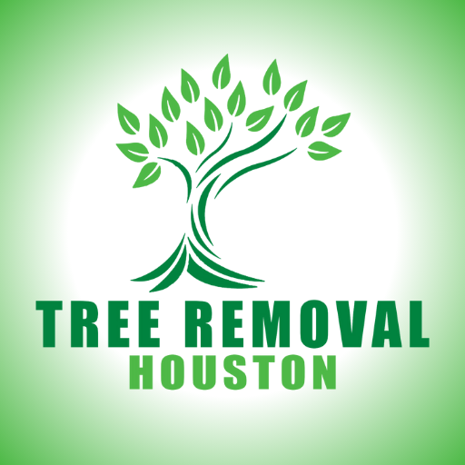 Tree Removal Houston Launches: Expert Tree Care and Removal Services in Houston