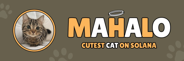 Mahalo Brings Cat Season on Solana as the Next Big Meme Coin Sensation