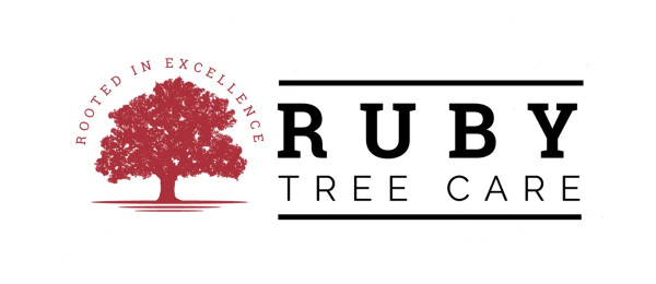 Ruby Tree Care Announces New Ownership and Launch of New Website for Enhanced Customer Experience