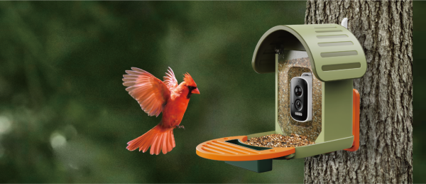 Vinguys Launches the V-Feeder: A Smart Bird Feeder Redefining Outdoor Living