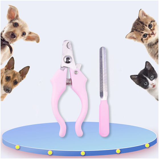 Global Pet Grooming Supply Market: A Shift Towards & Pet Tool Best