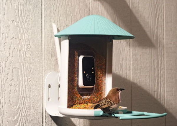 Birdfy Announces Launch of Next-Generation Bird Feeder Cameras