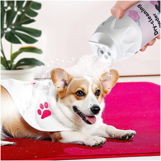 Pet Care Products Market Trends and Opportunities