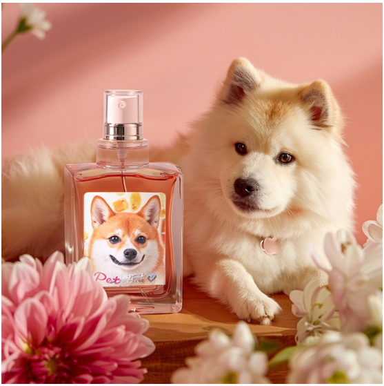 Pet Care Products Market Trends and Opportunities