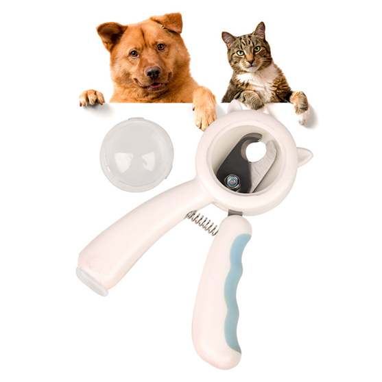 Pet Care Products Market Trends and Opportunities