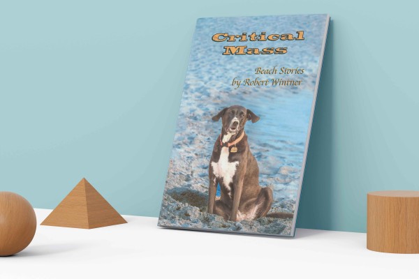 Robert Wintner: Critical Mass, Beach Stories