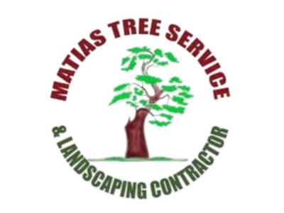Five-Star Reviews Bring Growing Recognition to Matias tree service and landscape contractor in Sacramento