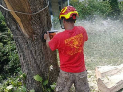 Leatherneck Tree Service Gains Recognition Across Pennsylvania as More Customers Share Positive Experiences