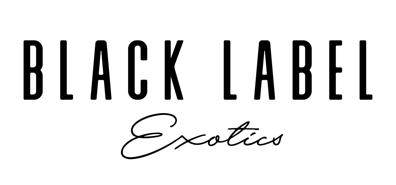 Black Label Exotics Brings Elite Exotic Car Rentals to the Heart of Dallas