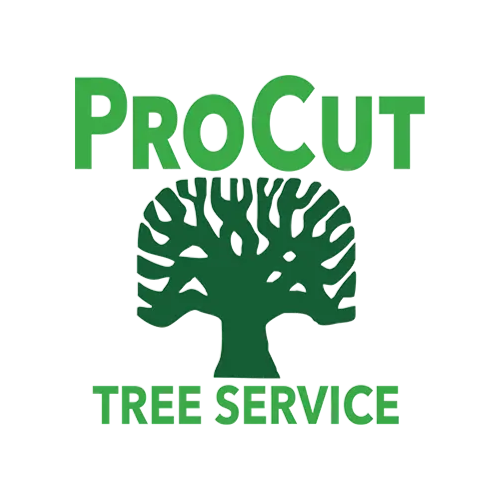 Pro Cut Tree Services Introduces Preventative Measures and Emergency Tree Removal Services