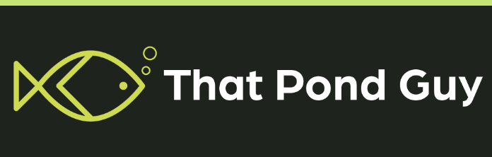 That Pond Guy Revolutionizes Pond Care in Kent and London with Comprehensive Services